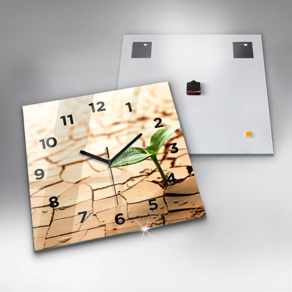 Reloj cuadrado Planta en tierra seca