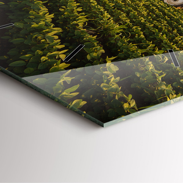 Reloj cuadrado Tractor fumigando un campo