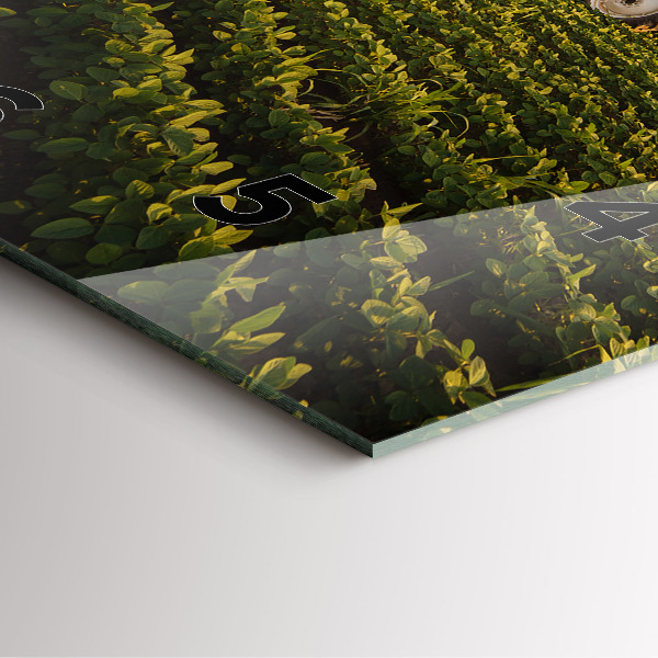 Reloj cuadrado Tractor fumigando un campo