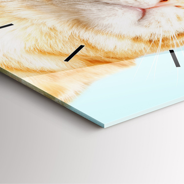 Reloj de pared cuadrado Divertido gato con gafas