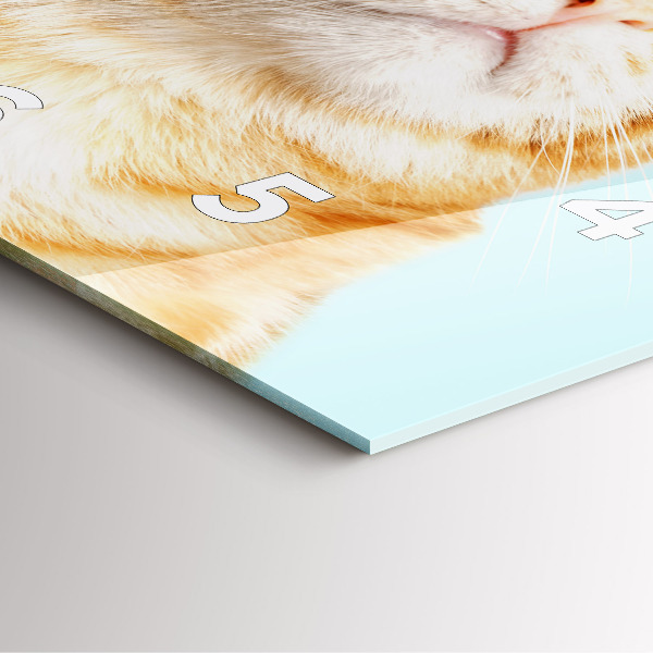 Reloj de pared cuadrado Divertido gato con gafas