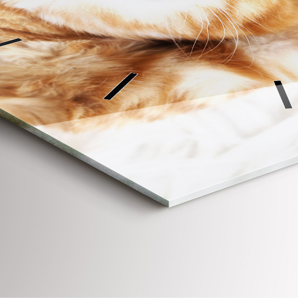 Reloj de pared cuadrado Gatito durmiendo