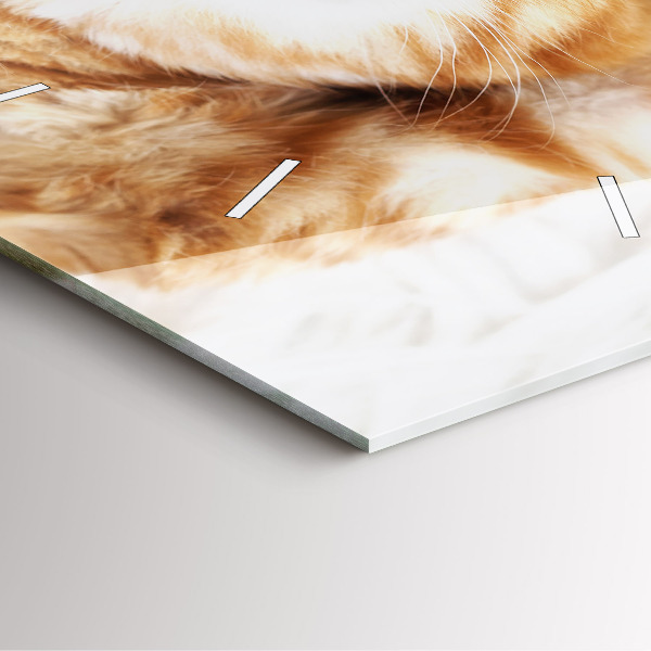 Reloj de pared cuadrado Gatito durmiendo