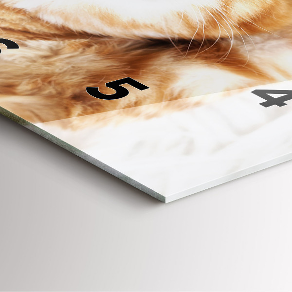 Reloj de pared cuadrado Gatito durmiendo