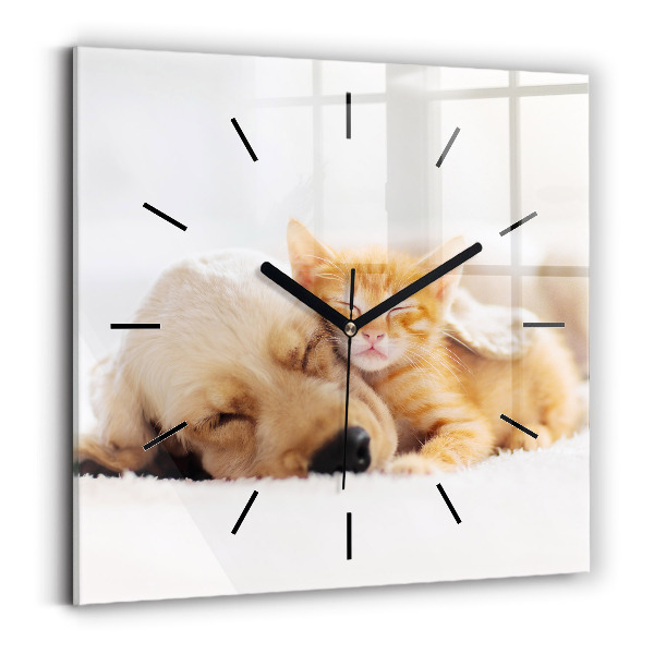 Reloj cuadrado Gato y perro durmiendo