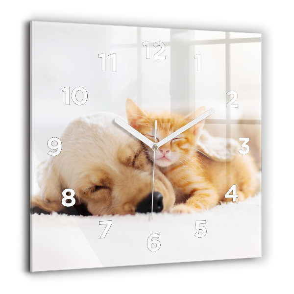 Reloj cuadrado Gato y perro durmiendo