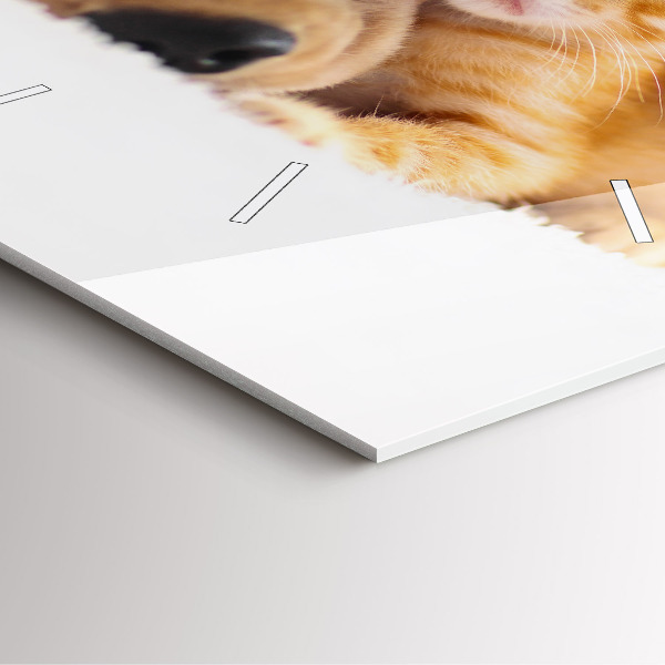 Reloj cuadrado Gato y perro durmiendo