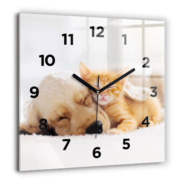 Reloj cuadrado Gato y perro durmiendo