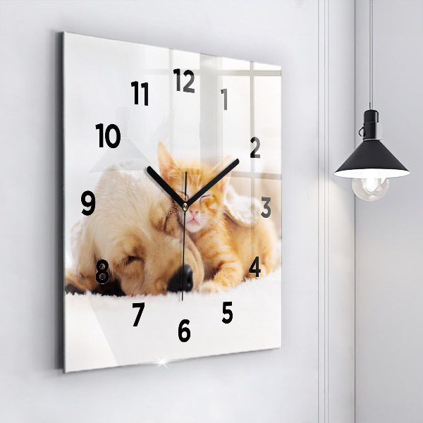 Reloj cuadrado Gato y perro durmiendo