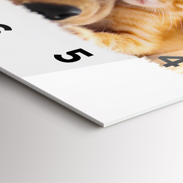 Reloj cuadrado Gato y perro durmiendo