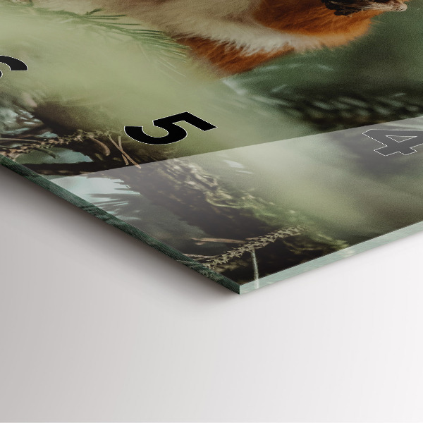 Reloj cuadrado Ardilla y fauna salvaje