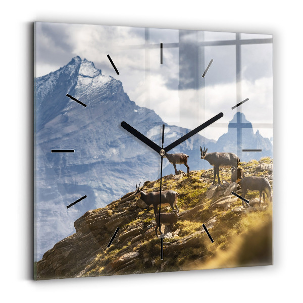 Reloj cuadrado Cabra en el Valle de Aosta