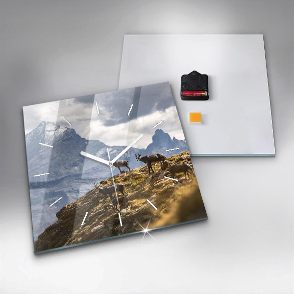 Reloj cuadrado Cabra en el Valle de Aosta