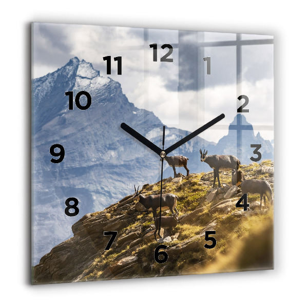Reloj cuadrado Cabra en el Valle de Aosta