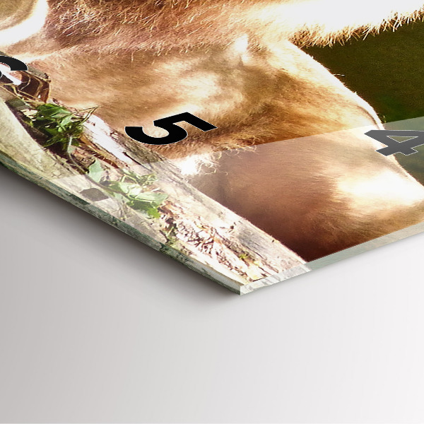 Reloj de pared cuadrado Retrato de un león