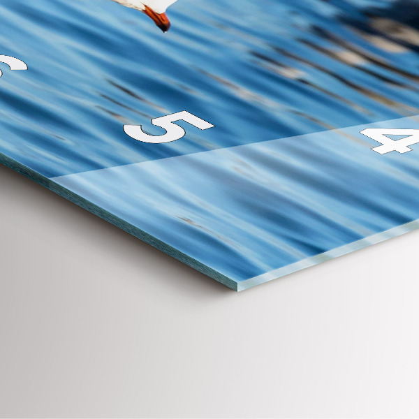 Reloj cuadrado Gaviotas en Gdynia