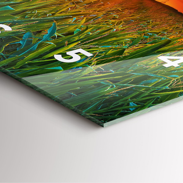 Reloj de pared cuadrado Girasoles en un prado