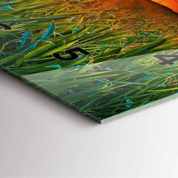 Reloj de pared cuadrado Girasoles en un prado