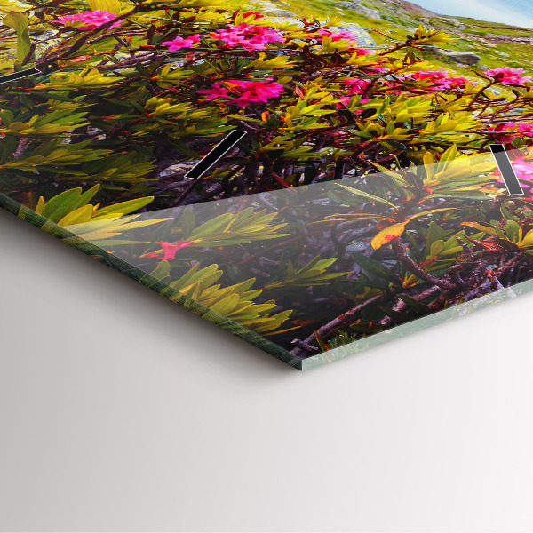 Reloj de pared cuadrado Glaciar del Mont Blanc Chamonix