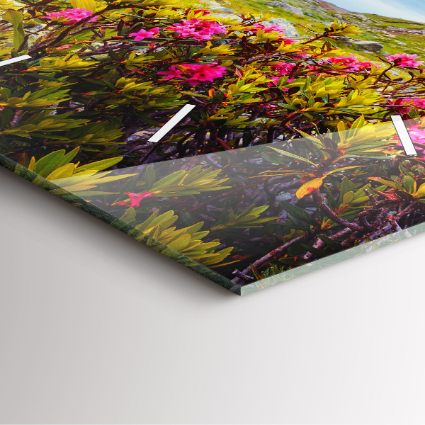 Reloj de pared cuadrado Glaciar del Mont Blanc Chamonix