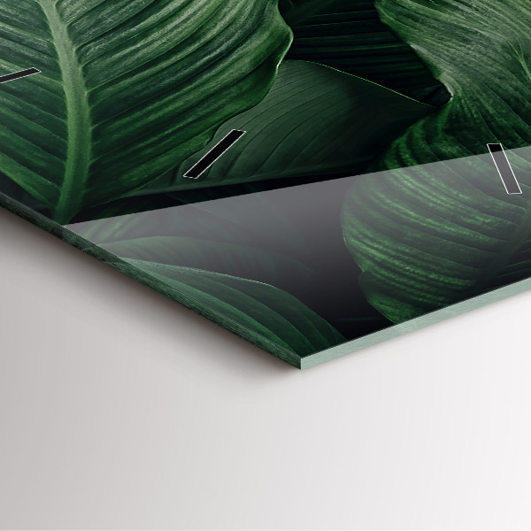 Reloj de pared cuadrado Monstera tropical