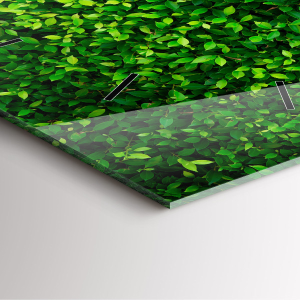 Reloj de pared cuadrado Hojas de seto