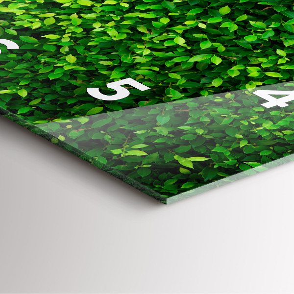 Reloj de pared cuadrado Hojas de seto