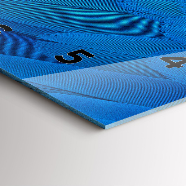 Reloj de pared cuadrado Pluma de ave