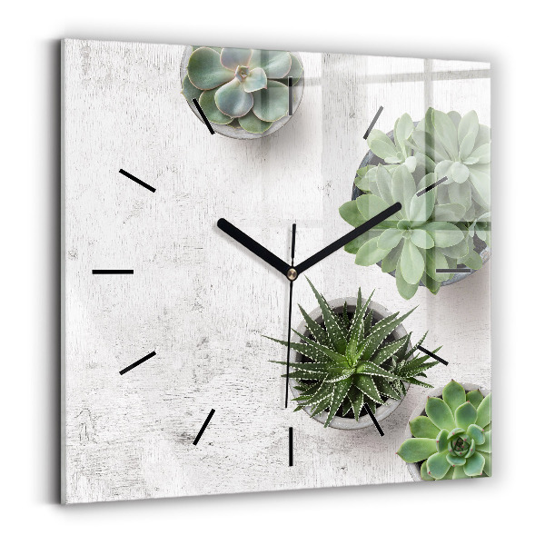 Reloj cuadrado Plantas decorativas