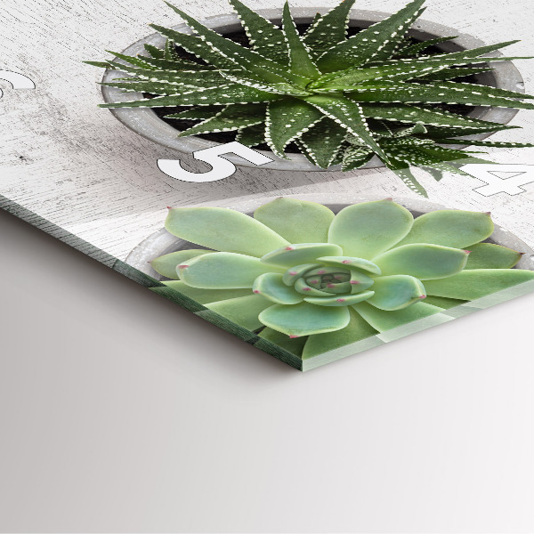 Reloj cuadrado Plantas decorativas