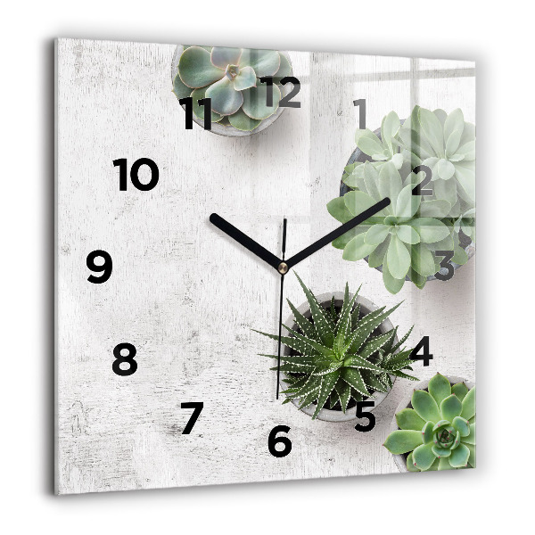 Reloj cuadrado Plantas decorativas