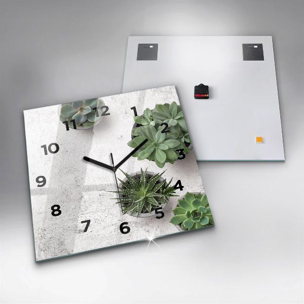Reloj cuadrado Plantas decorativas