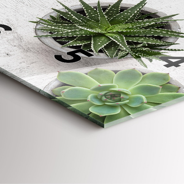 Reloj cuadrado Plantas decorativas