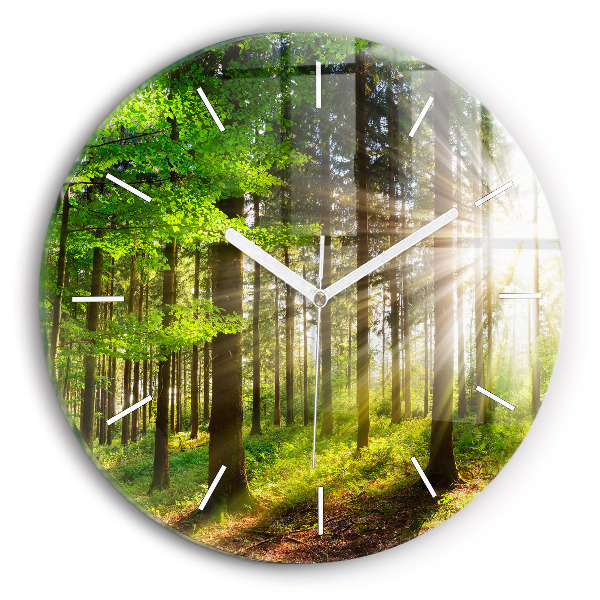 Reloj redondo pared Amanecer en el bosque