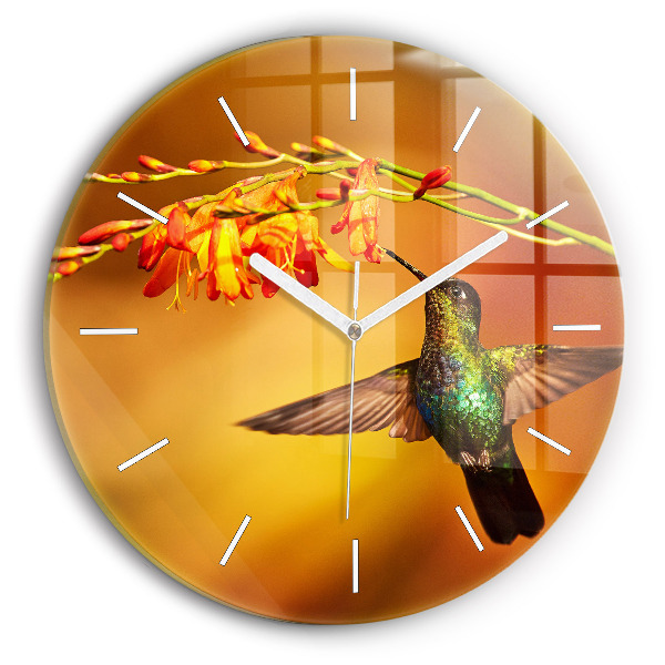 Reloj redondo pared Pájaro colibrí