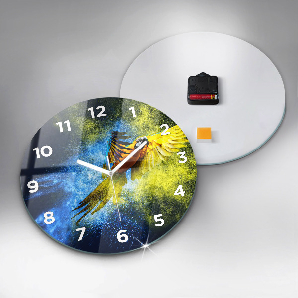 Reloj redondo pared Loro de colores