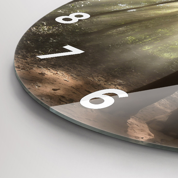 Reloj redondo pared Elefante en la jungla