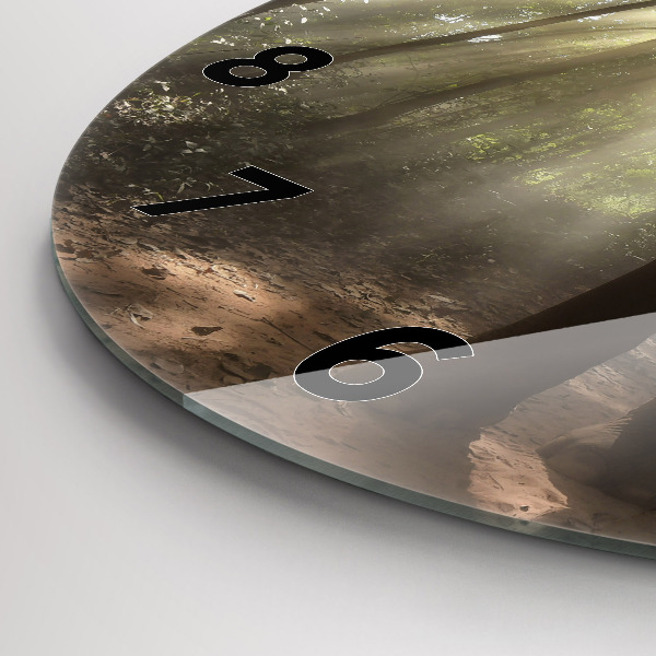 Reloj redondo pared Elefante en la jungla