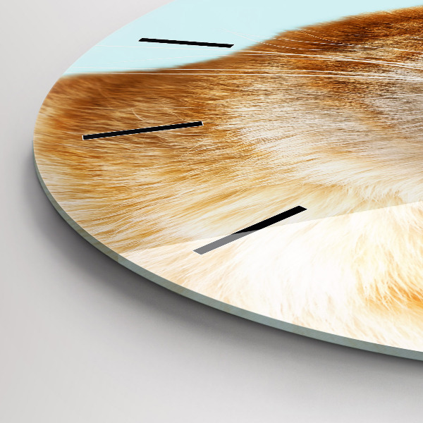 Reloj de cristal redondo Divertido gato con gafas