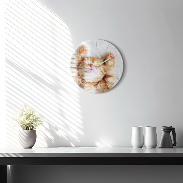 Reloj redondo pared Gatito durmiendo