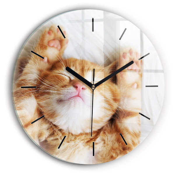 Reloj redondo pared Gatito durmiendo