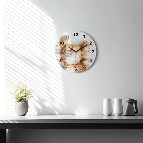 Reloj redondo pared Gatito durmiendo