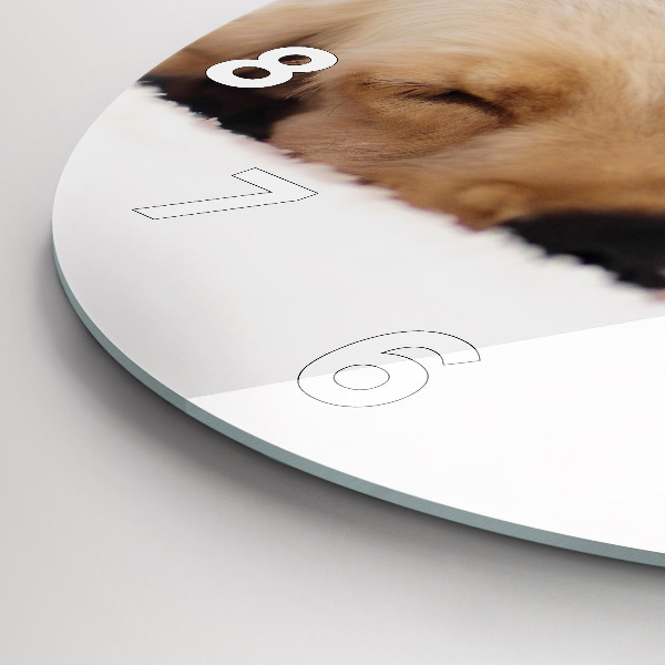 Reloj de cristal redondo Gato y perro durmiendo