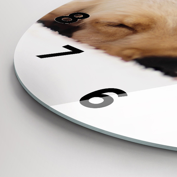 Reloj de cristal redondo Gato y perro durmiendo