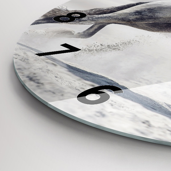 Reloj de pared redondo Caballo blanco al galope