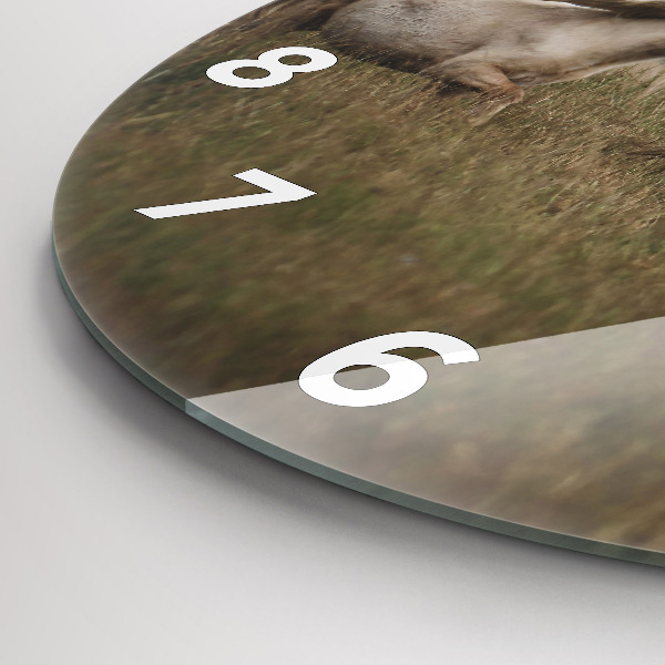 Reloj de pared redondo Caballos al galope