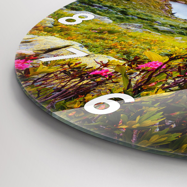 Reloj de pared redondo Glaciar del Mont Blanc Chamonix