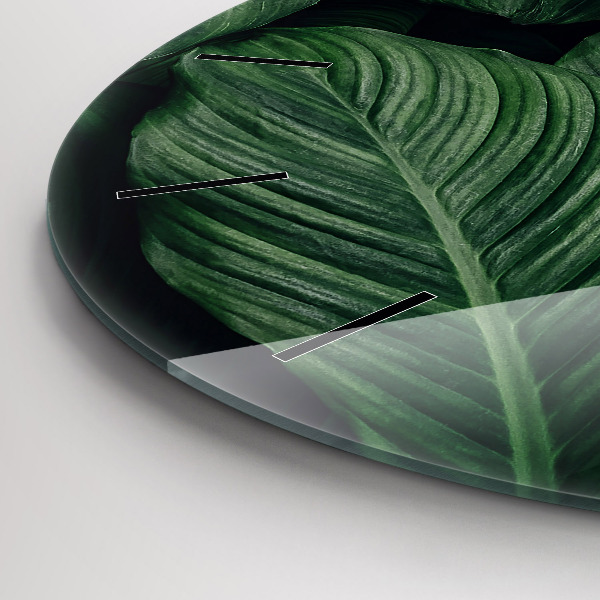 Reloj redondo pared Monstera tropical