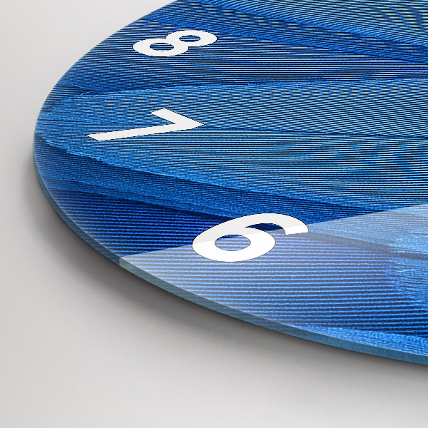 Reloj de cristal redondo Pluma de ave