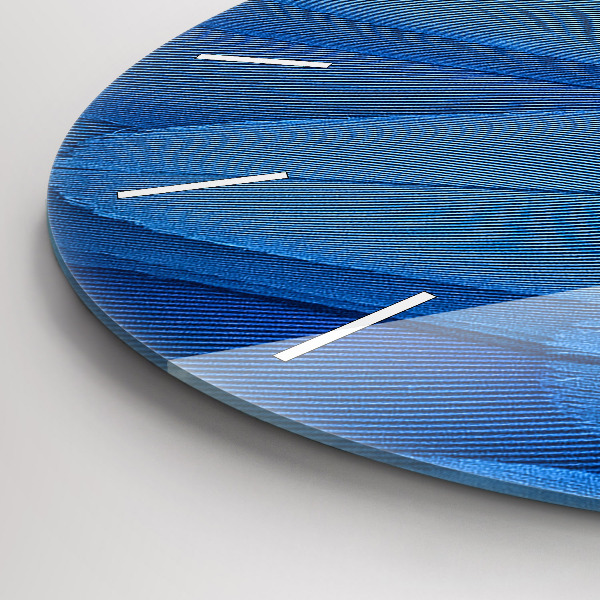 Reloj de cristal redondo Pluma de ave